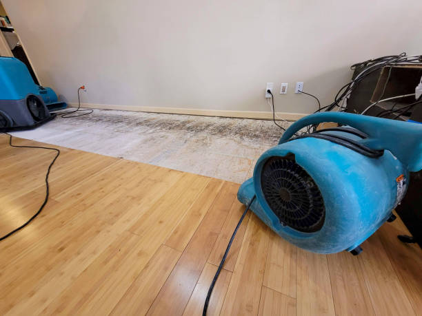 Professional Water Damage Repair technician working in Belchertown, MA